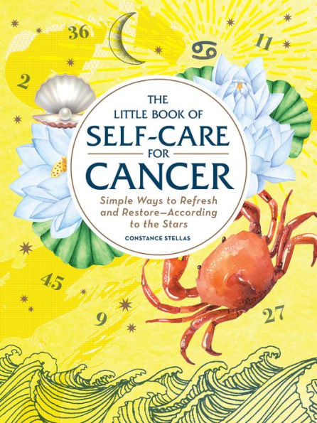 Little Book Of Self-Care For Cancer Book